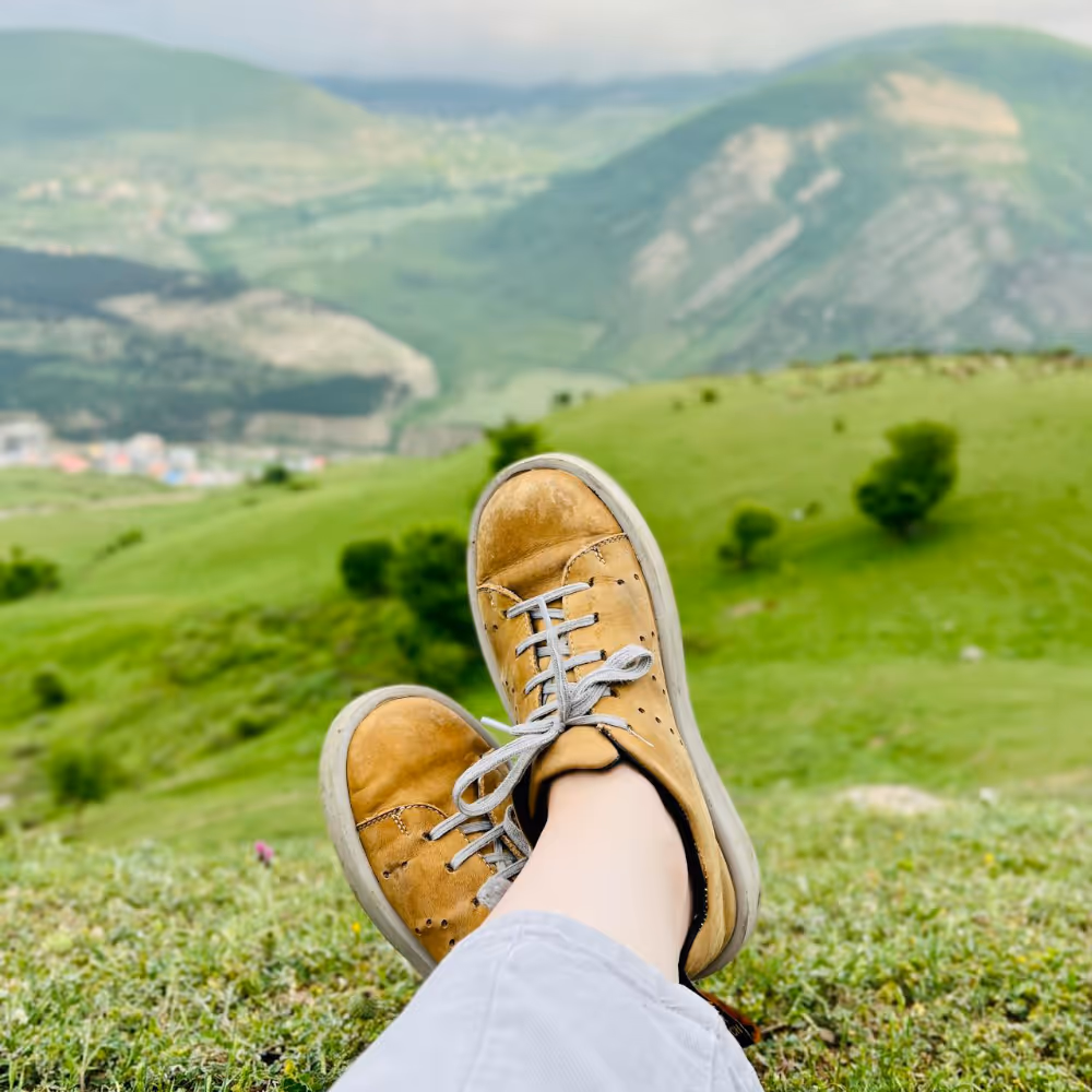 A countryside and mountain scene